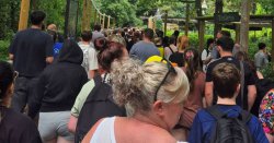 Alton Towers panic as theme park evacuated &#039;due to fire&#039;
