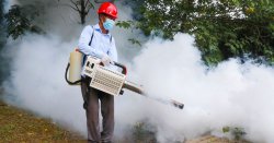 Pandemic fears erupt as China&#039;s agonising virus hits horrifying milestone