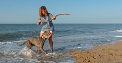 Vet’s warning anyone in the UK walking dogs by the coast this weekend