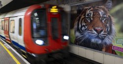 London Tube strike: Travel chaos looms as RMT to hold five days of strikes