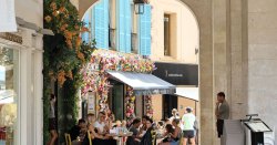 Majorca panic over plunging tour-guide bookings as anti-tourism actions bite