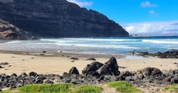 Canaries beach forced to close after invasion of dangerous sea creatures