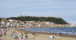 The UK seaside towns where people are being mugged by seagulls