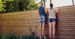 People with fences in their gardens told &#039;act now&#039; before time runs out