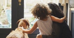 Thousands of UK pet owners risk invalid insurance in September