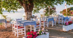 Panic in Greece as tourists abandon restaurants to get supermarket dinners instead