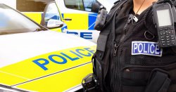 Six people mauled in vicious dog attack by XL Bully cross & French Bulldog