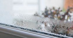 Windows will stay drier this autumn using 1 ho<b class='text-danger'>use</b>hold item - no dehumidifier