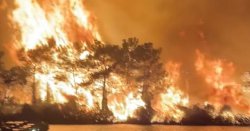 Panic in Tur<b class='text-danger'>k</b>ey as massive wildfire rips through popular holiday destination