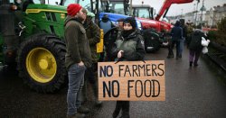 Labour slammed for &#039;total disregard&#039; of farmers over deadly weed outbreaks