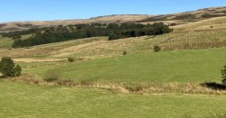 Littleborough plane crash LIVE: Aircraft plunges near UK lake as 999 crews swarm area