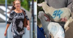 Vegan who kidnapped lamb and made it wear a nappy guilty of animal cruelty
