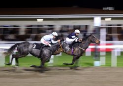 UK racecourse in administration chaos as it's stripped of licence with immediate effect