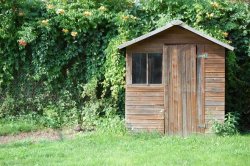 UK households <b class='text-danger'>warned</b> to ‘check sheds’ this weekend