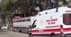 Turkey school 'shooting' horror as 'at least 7 injured including students and teachers'
