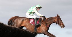 POLL: Should horseracing be banned as another horse dies at Grand National?
