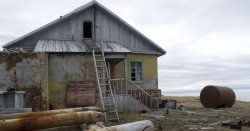 The eerie ghost village abandoned for three decades completely taken over by polar bears