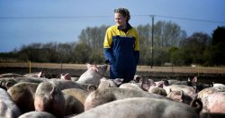 Farmers say &#039;Labour is trying to destroy us&#039; amid plan to back Reform in local elections
