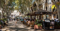 Panic in Majorca as restaurants forced to close early despite huge tourist boom