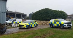 Beautiful UK village ‘like a murder scene’ as animals shot in the head