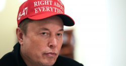 Tesla sales plummet in HALF as Elon Musk&#039;s support for Donald Trump backfires