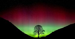 Two friends accused of felling Sycamore Gap tree in &#039;mindless vandalism&#039; act