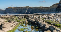 The ‘hidden’ UK beach full of fossils with tiny village and free parking
