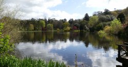 The UK's 'most beautiful' walk complete with 10 miles of woodland trails