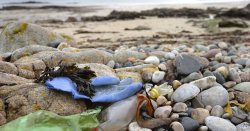 UK&#039;s &#039;dirtiest&#039; beach named where visitors report &#039;human faeces and broken glass&#039;