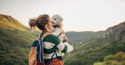 Brits hate holidays without their dogs and will cancel travel plans if not pet friendly