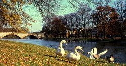 UK town circled by pretty and posh Cotswolds villages is an ‘embarrassment&#039;