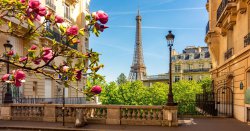 Travel expert lists things &#039;no-one tells you&#039; about visiting Paris