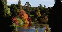&#039;Beautiful&#039; National Trust garden with pretty lakes looks &#039;lovely in autumn&#039;