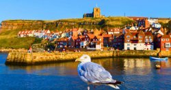 UK’s best seaside town should be visited now due to 1 strange festival celebrated in April