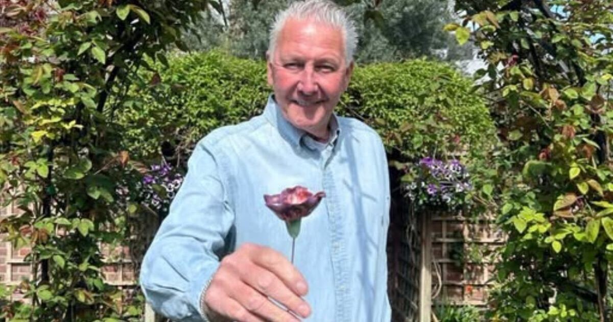 Inside Tommy Walsh’s Cambridgeshire home: garden wedding and DIY granite furniture